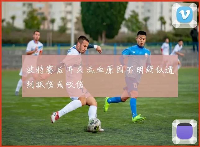 波特赛后耳朵流血原因不明疑似遭到抓伤或咬伤