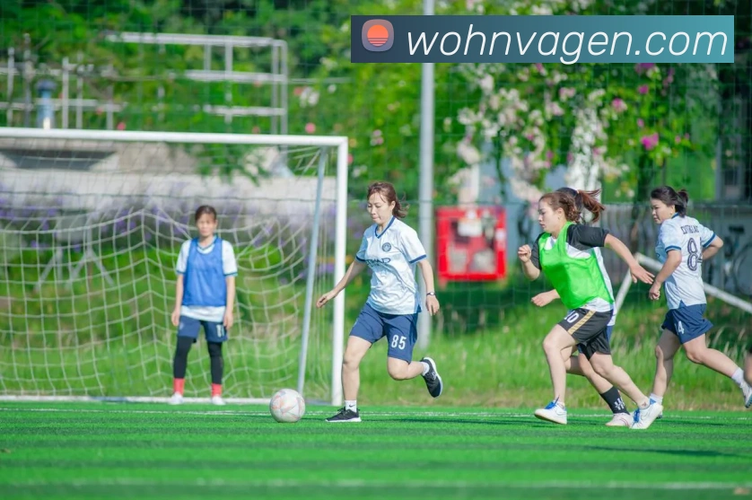 奖项4